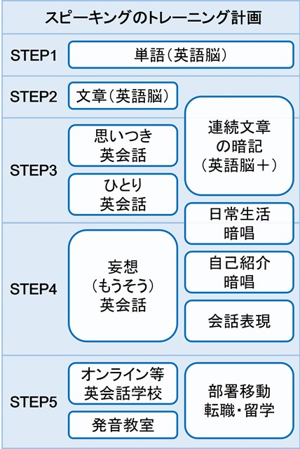 トレーニングの全体計画の図。STEP1-STEP5まである。