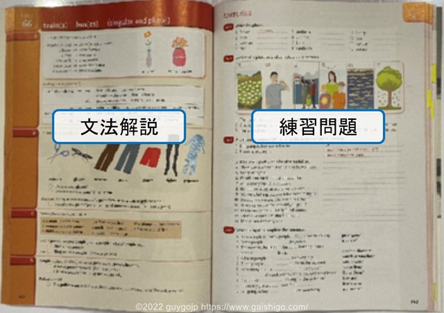 Essential Grammar in Use with Answers and Interactive eBookの中身を解説する写真。