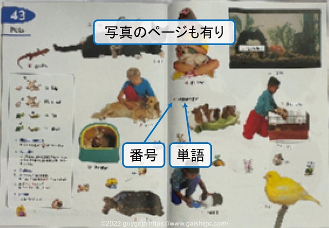 ピクチャーディクショナリーLongman Children's Picture Dictionaryの中身を解説する写真。